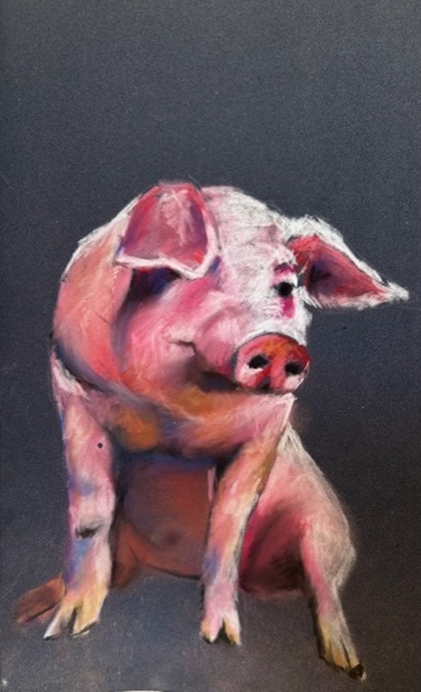 Jane MacIntosh | Resting pig | McATamney Gallery and Design Store  | Geraldine NZ